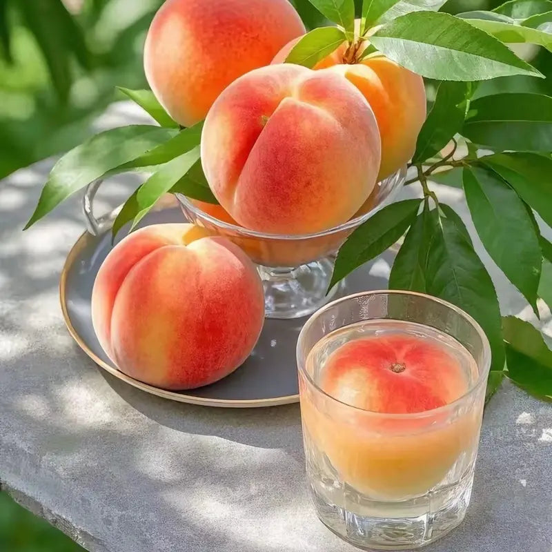 【Verdant.Vitality】Premium Peach  | Grow Your Own Indoor/Outdoor Fruit Tree 🍑🌿