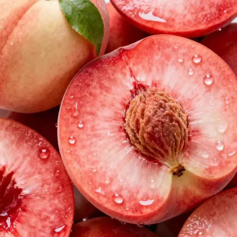 🍑 Peach Plant Kit | Sweet & Juicy Fruit for Your Home Orchard🏡
