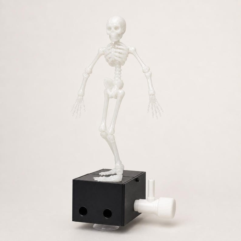 Skeleton aquarium ornament front view